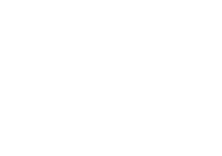 Boeuf