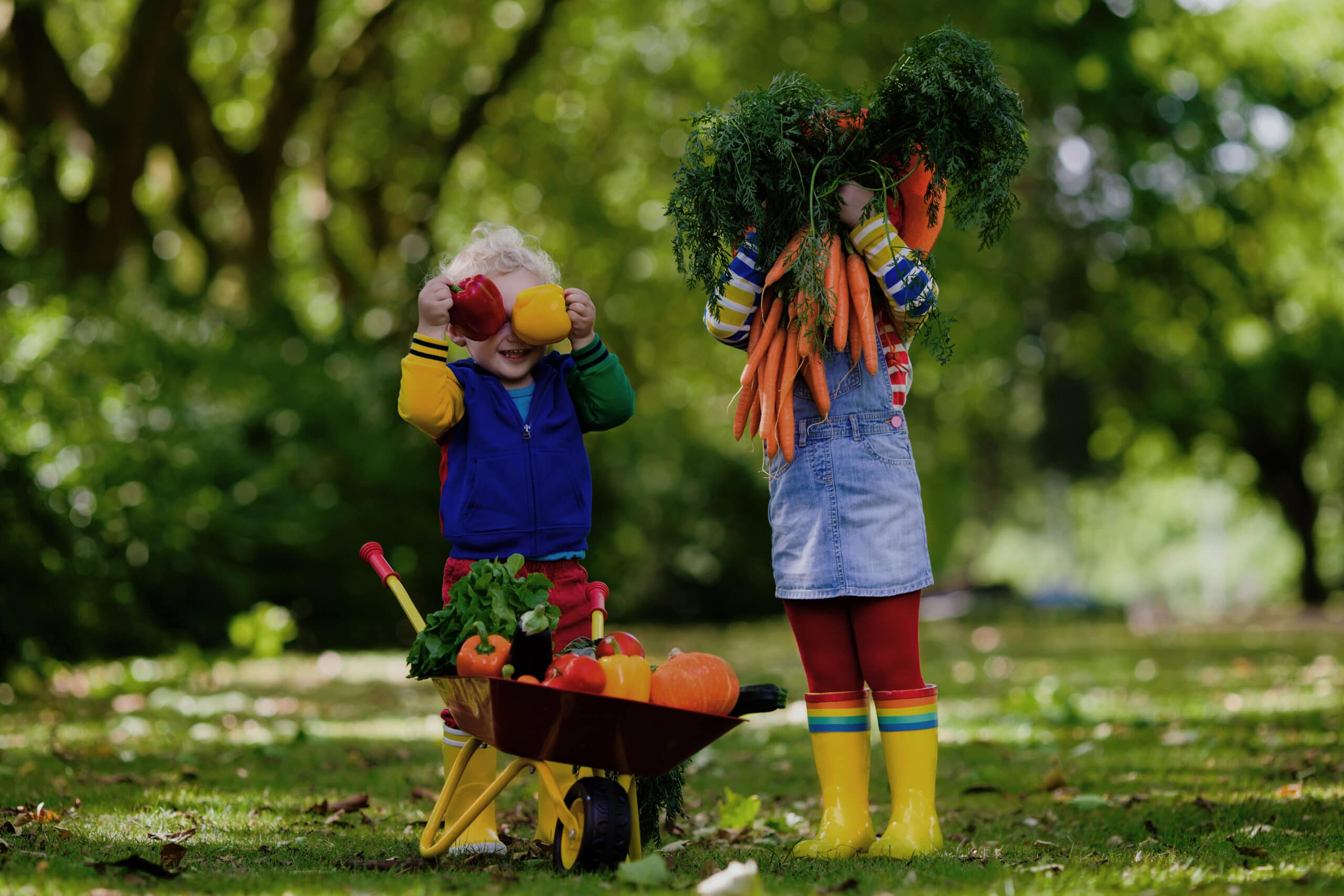 Fruits et légumes avec des enfants