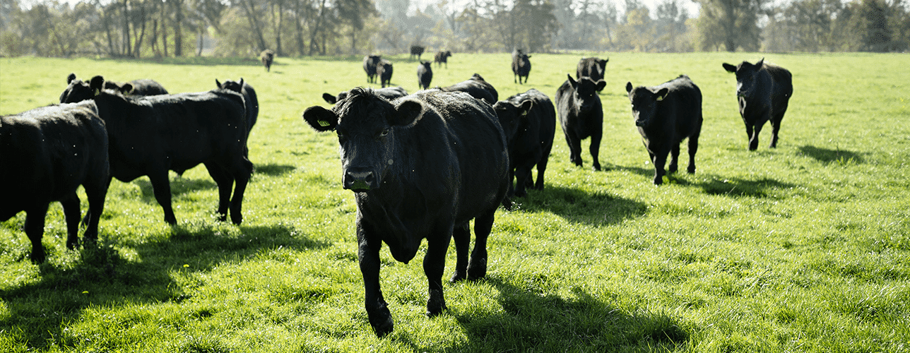 Banner : Politique de confidentialité des données